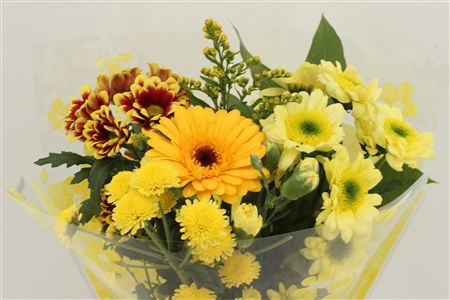 <h4>Bouquet 5-7 stem yellow</h4>