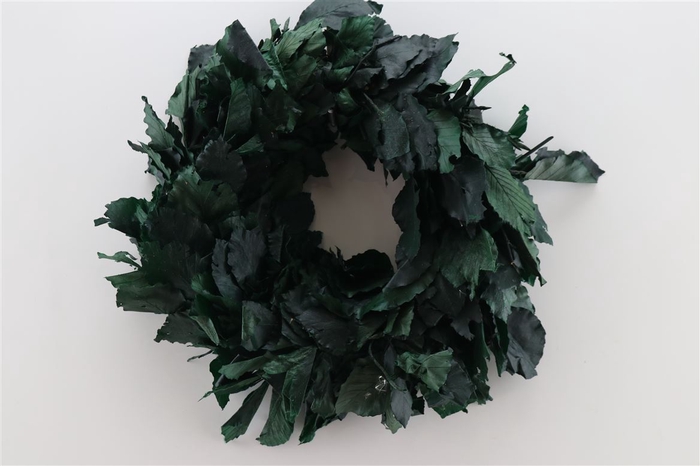 <h4>Wr Pres Beuk 30cm Green</h4>