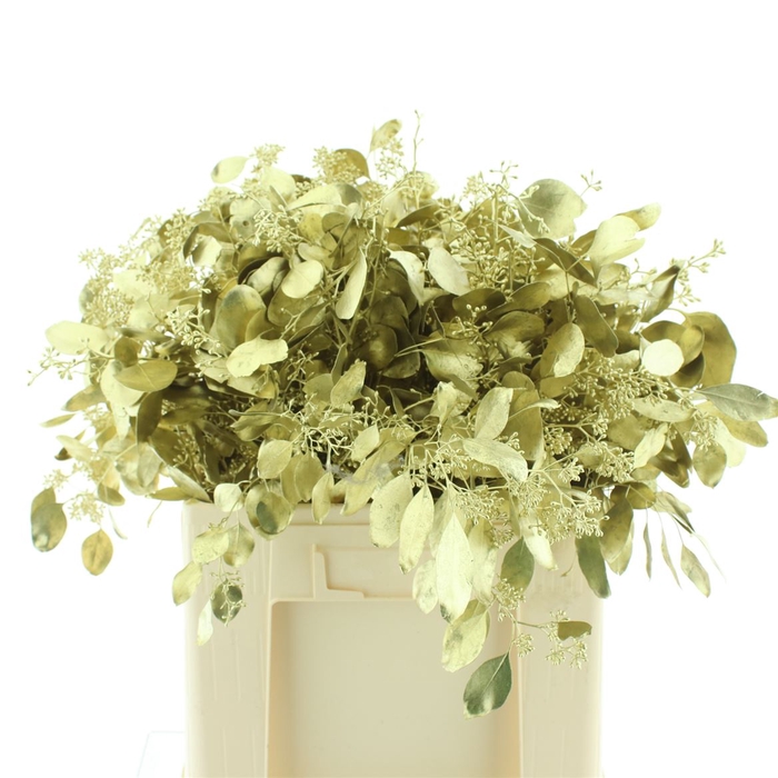 <h4>Euca Populus Bes Klb Goud 200gr</h4>