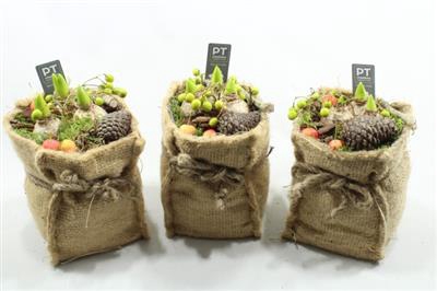 <h4>4416 JUTE MIDDEL X6</h4>