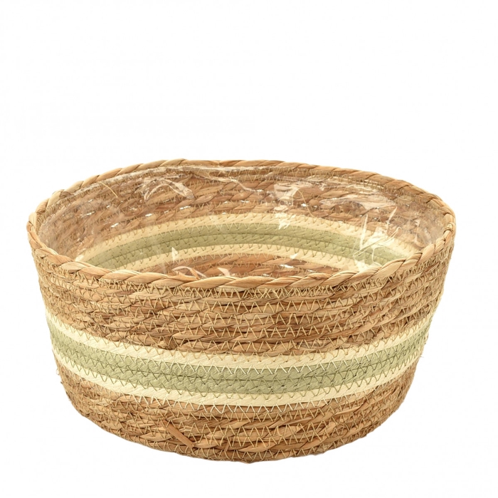 <h4>Manden Lizzy schaal d24.5*11.5cm</h4>