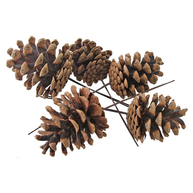 <h4>Kerst oostenrijkers op draad 200 p/doos</h4>