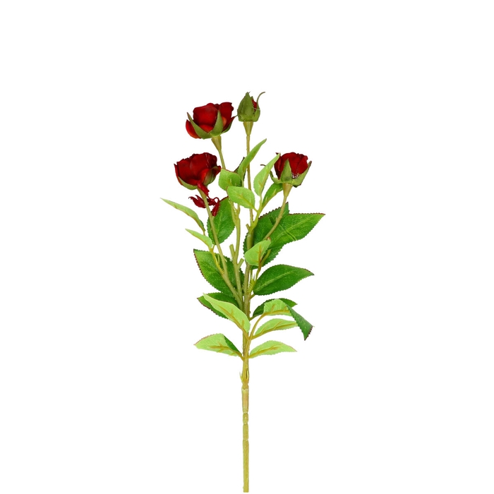 <h4>Opruiming Roos mini 44cm</h4>