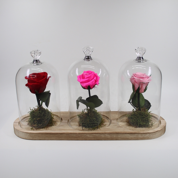 <h4>Stolp trio steel rood-fuchsia-roze glas</h4>