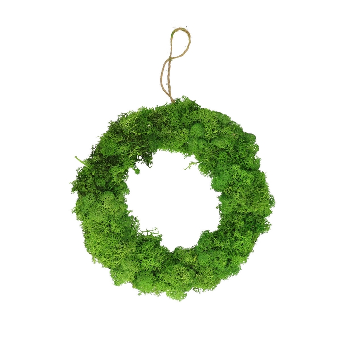 <h4>Krans d30cm Reindeer moss</h4>