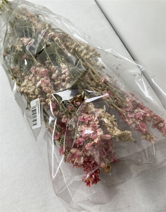 <h4>Dried Delphinium Rose</h4>