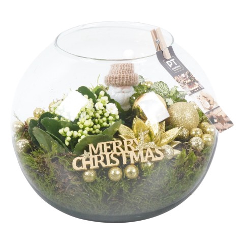 <h4>PTCHG5122 Arrangementen Kerst</h4>