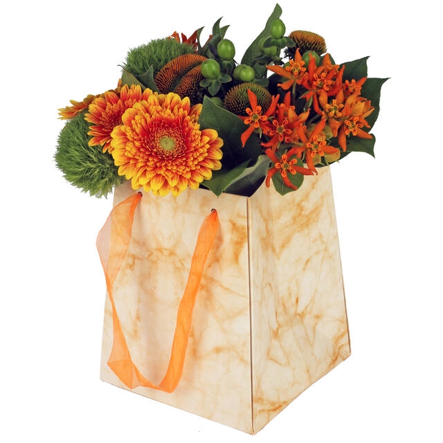 <h4>Bag Marble carton 12/12x15/15xH18cm orange</h4>