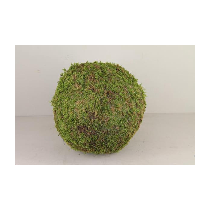<h4>Ball Moss Green 40cm</h4>