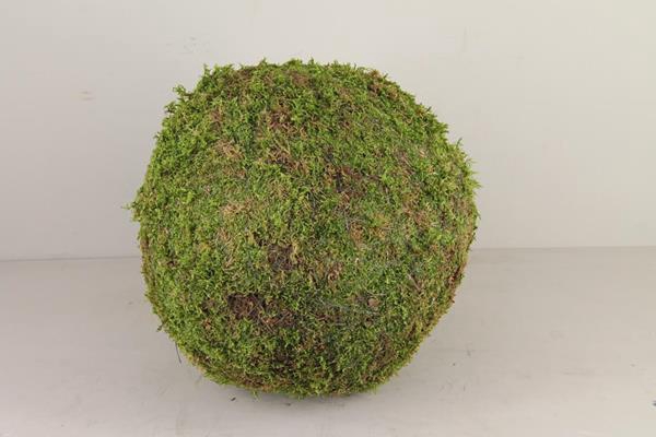 <h4>Ball Moss Green 40cm</h4>
