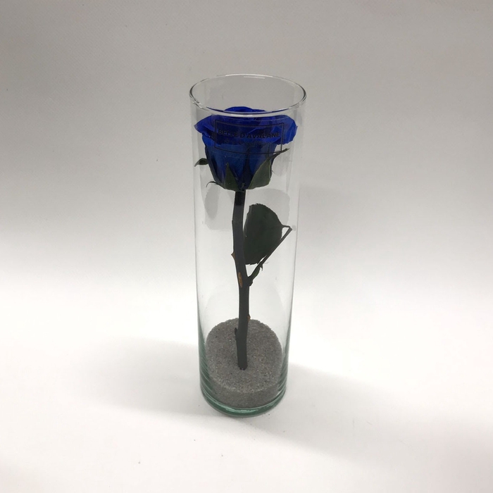 Cillinder d6x20h blauw glas