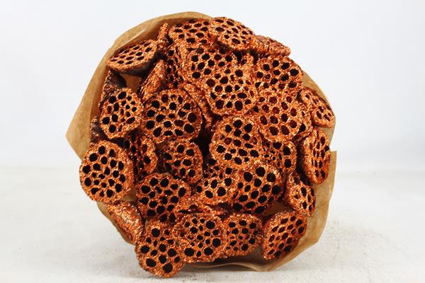 <h4>Droog Lotus Koper Glit X40</h4>