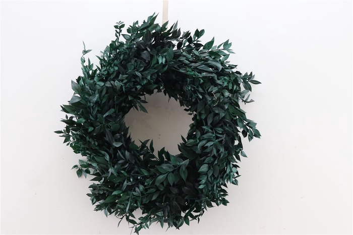 <h4>Wr Pres Ruscus 30cm Green</h4>