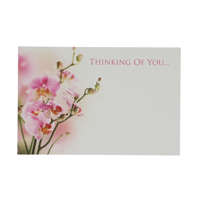 <h4>Labels Kaart 9*6cm x50 Thin.of You</h4>