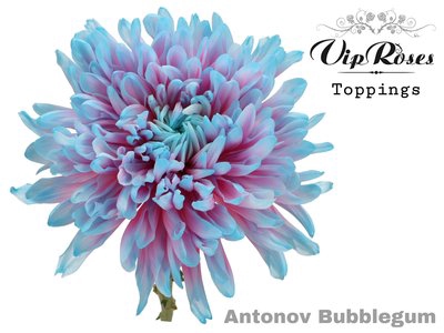 <h4>Chrys bl paint antonov bubblegum</h4>