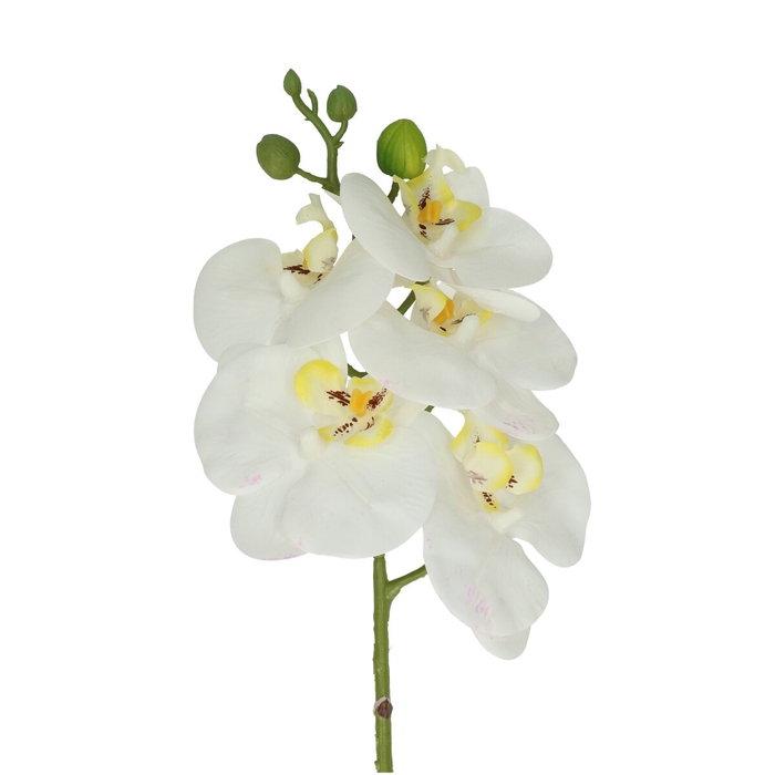 <h4>Silk Phalaenopsis 46cm</h4>