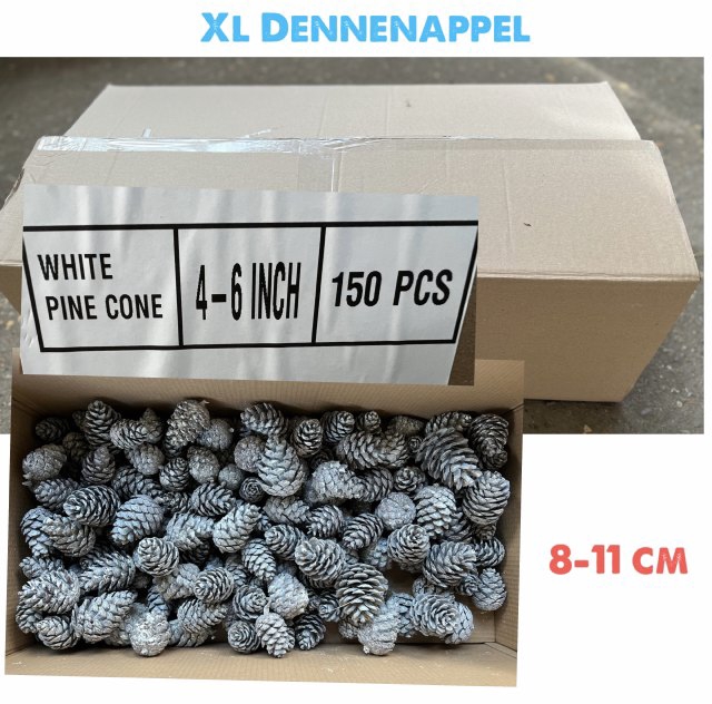 <h4>DENNEAPP G OP ST H%</h4>