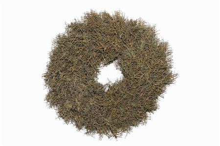 <h4>Wr Iron Bush Naturel 30cm</h4>