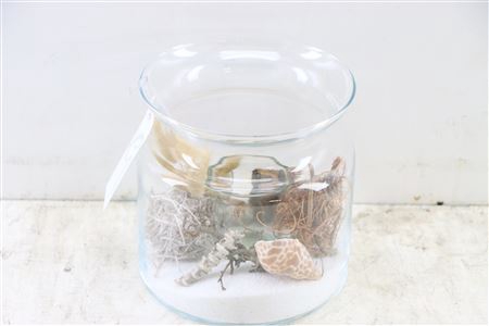 <h4>Arr Glass Milk Can S White Sand And Shells</h4>
