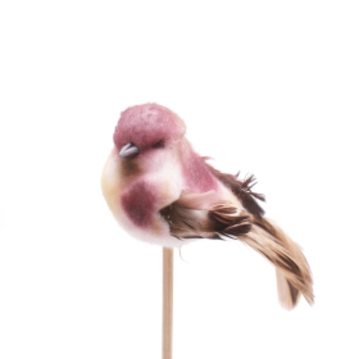 <h4>Bijsteker 50cm Vogel Tommy 6.5cm</h4>