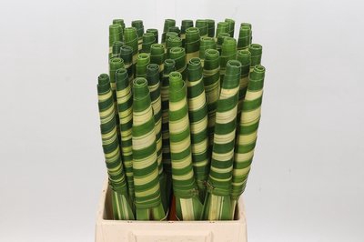 <h4>Leaf pandanus tube</h4>