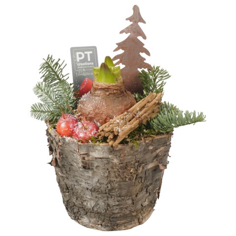 <h4>PTACH7965 Arrangementen Kerst</h4>