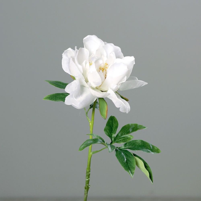 <h4>Af Peony L60cm White</h4>