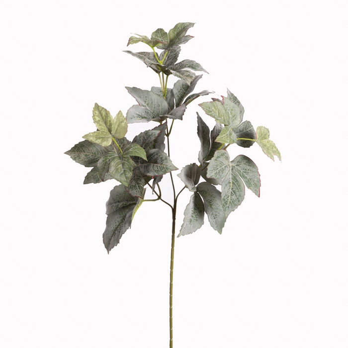<h4>Af Druivenblad L55cm Grijs</h4>