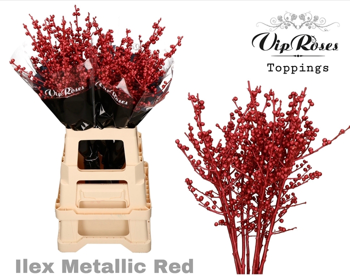 <h4>Ilex paint</h4>