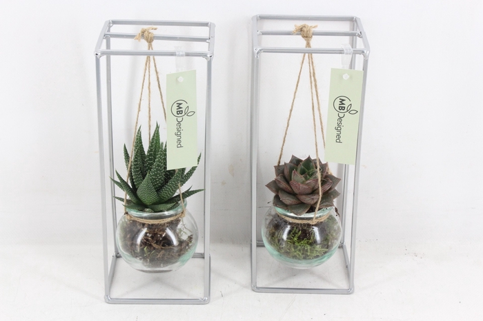<h4>arr2 MB186 - Ijzer hang rek 1 glas silver</h4>