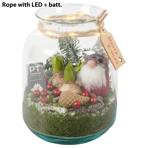 <h4>PTHCC8689 Arrangementen Kerst</h4>