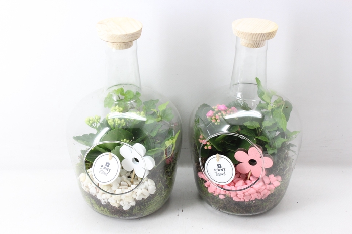 <h4>arr2 PL - Fles met hout dop - roze/wit</h4>