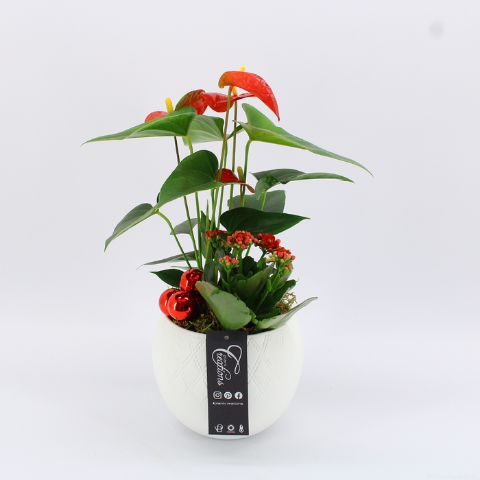<h4>XMAS-23036 Kerst creatie</h4>