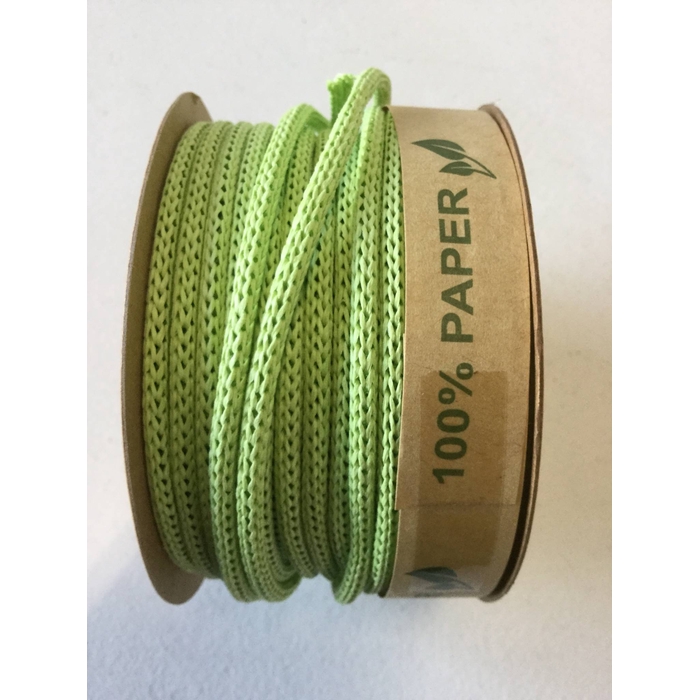 <h4>PAPERY CORD 25MX4MM LIGHT GREEN</h4>