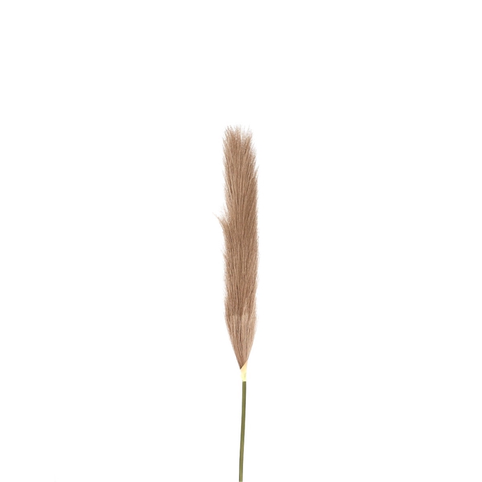 <h4>Silk Plum grass 104cm</h4>