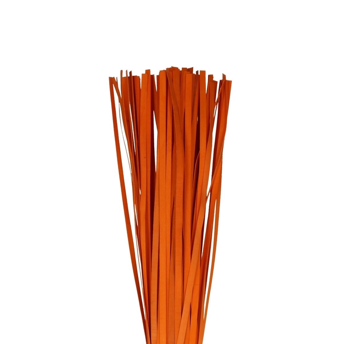 <h4>Droogdeco Houtband 1*110cm x100</h4>