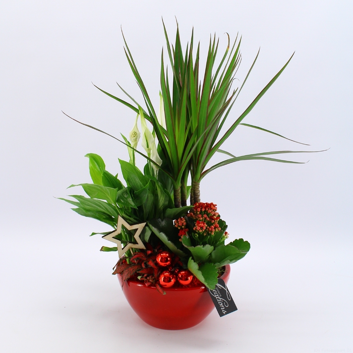 <h4>BAXM-2308R Xmas Fundamentals</h4>