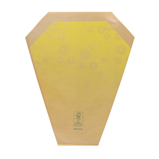 <h4>Hoezen Kraft Bright 50*44*12cm x50</h4>