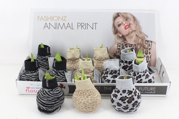 <h4>arr4 Amaryllis VH - Fashionz Animal print</h4>