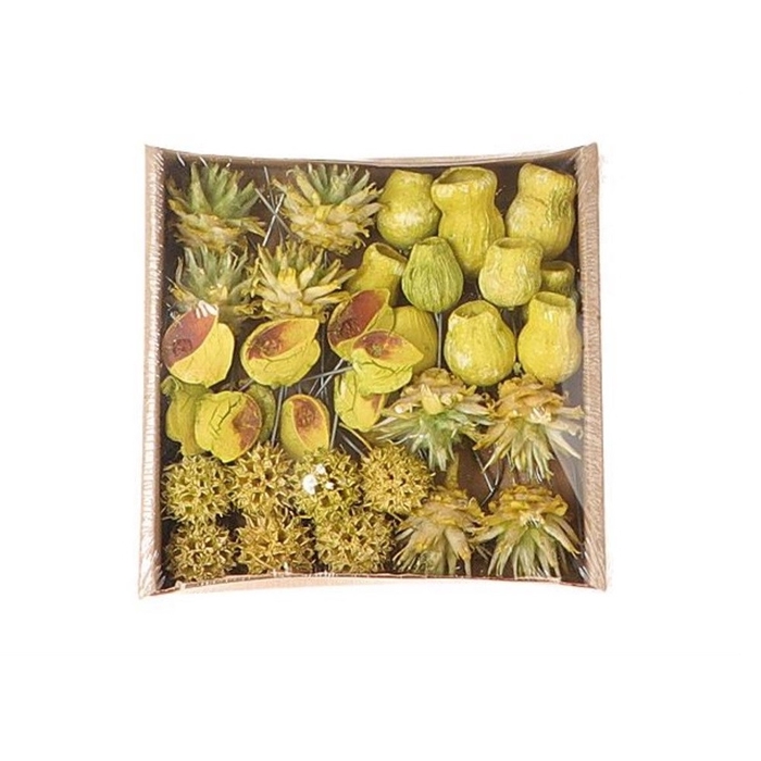 <h4>Dried articles Exotic mix/wire x35</h4>