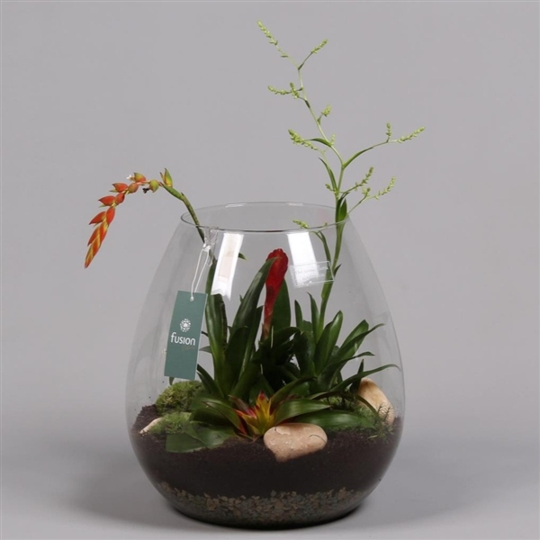 <h4>Green Bottle® Abby X-Large met Bromelia</h4>