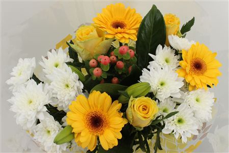 <h4>Bouquet 3 rosa 3 germini yellow</h4>