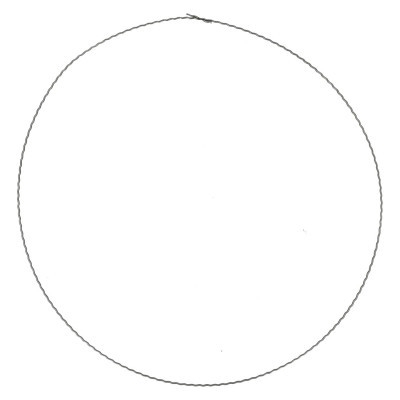 <h4>Bloemisterij Ring metaal d50cm x50</h4>