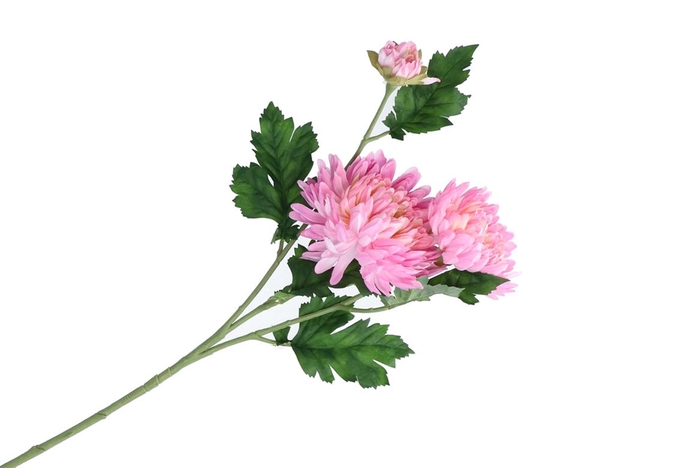 <h4>Silk Chrysant Pink 71cm</h4>