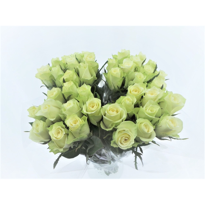 <h4>Bouquet Mono Rozen Wit x10 50cm</h4>