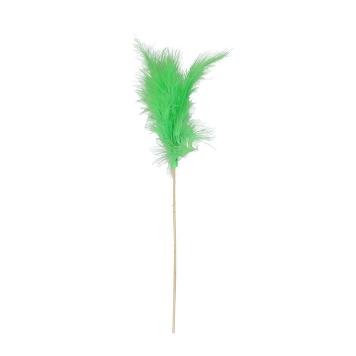 <h4>50cm Feather</h4>