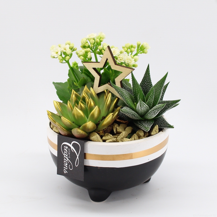 <h4>XMAS-23116 Kerst creatie</h4>