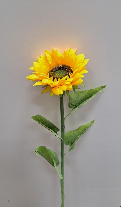 <h4>Af Zonnebloem L110cm Geel</h4>