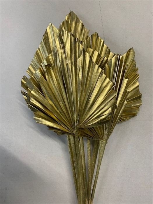 <h4>Dried Palm Spear 10pc Gold</h4>