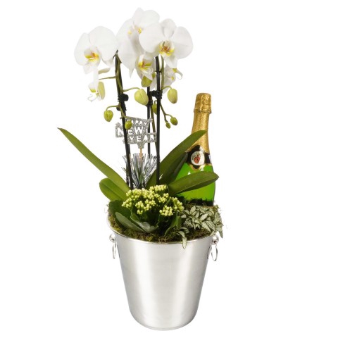 <h4>PTHN7229 Arrangementen kamerplanten</h4>